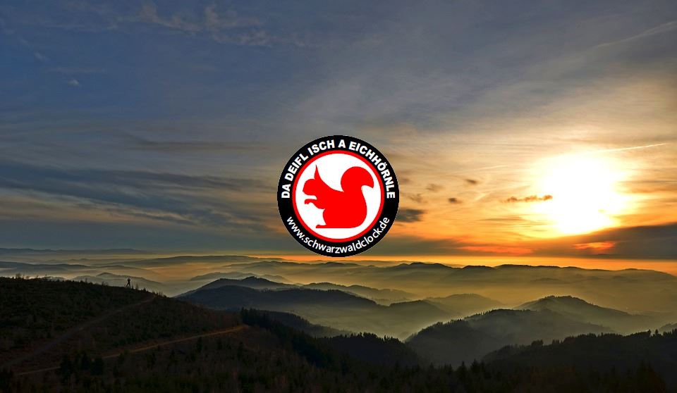 black-forest-1875418_960_720GyUdrrGuLgSnZ